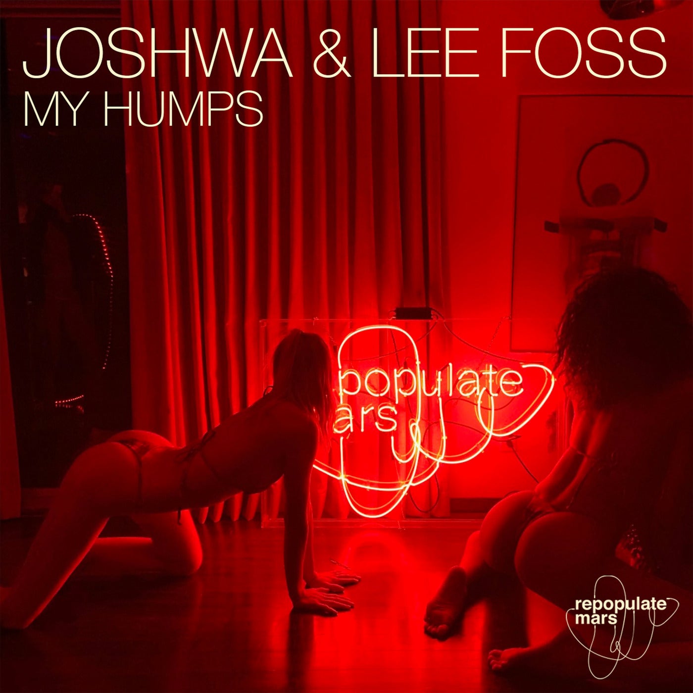 Joshwa, Lee Foss – My Humps [RPM116]